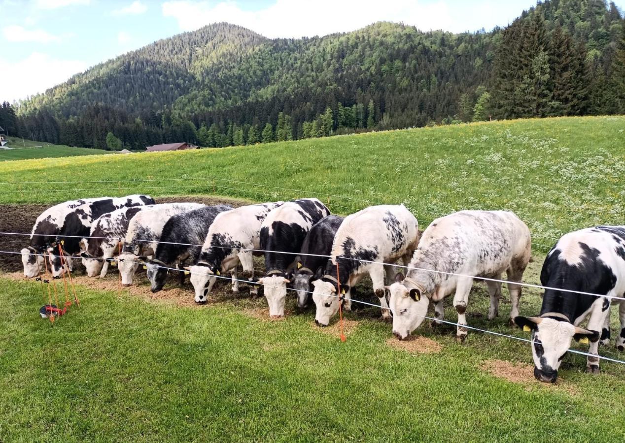 Bichlhof Riedenberg Séjour à la ferme