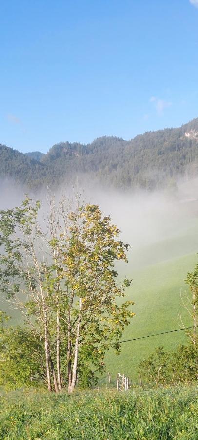Bichlhof Riedenberg Séjour à la ferme