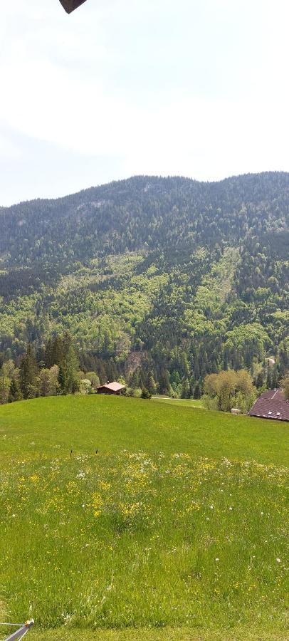 Bichlhof Riedenberg Thiersee